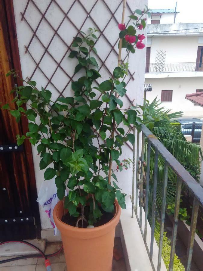 Apartamento Sole Mio Milina Exterior foto